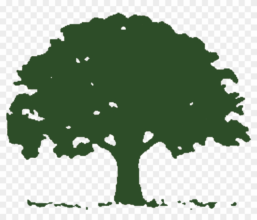 Landscaping Tree Clipart Clipart Kid - Oak Tree Logo Free #928353