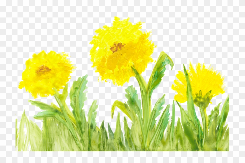 33, Yellow Flowers, - Yellow Watercolor Flower Png #928385