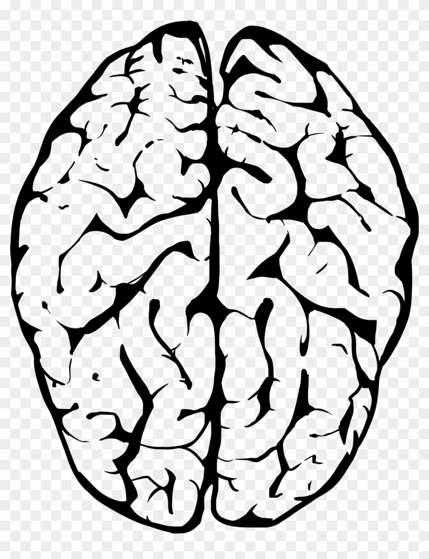 Brain Line Art Illustration - Brain White And Black #928660