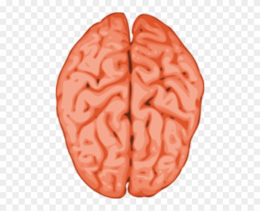 Brain Clip Art - Brain Png #928667
