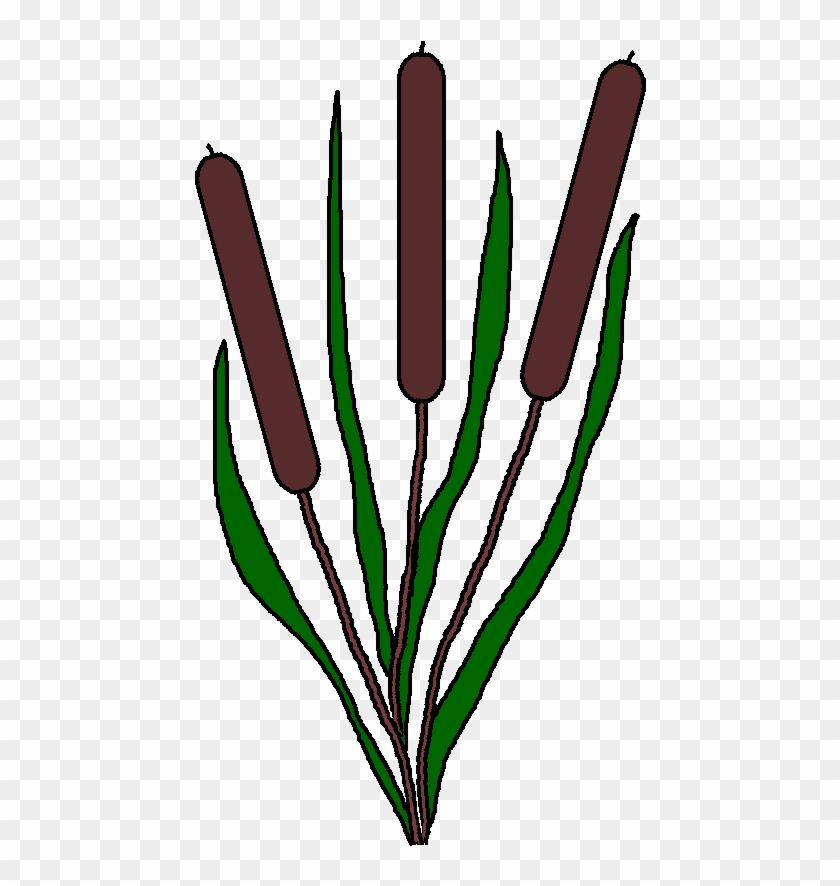Grass Clipart Pond Pencil And In Color Grass Clipart - Pond Plants Clipart #928757