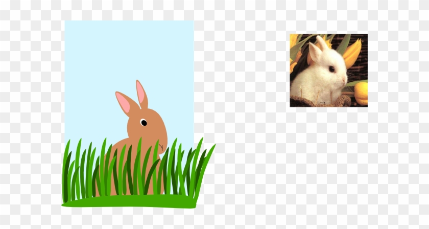 Rabbit Grass Clipart #928762