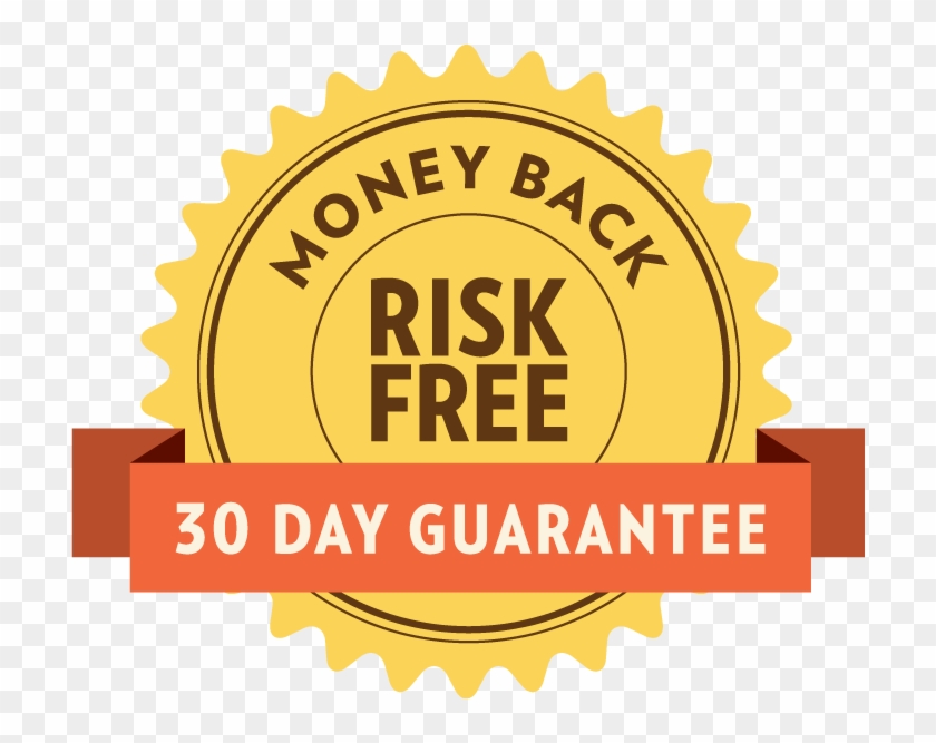 Imagine If You Could Modernize Your Business Without - 30 Days Money Back Guarantee #928912