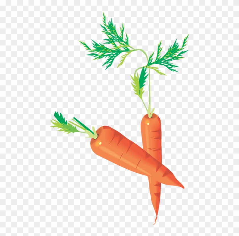 Carottes Png - Carrots Drawing - Zanahorias - Möhren - Mind Your Peas... Mug #929607