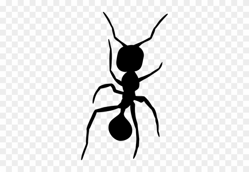 Insect Clipart Small Ant Pencil And In Color Insect - Ant Silhouette Png #929766