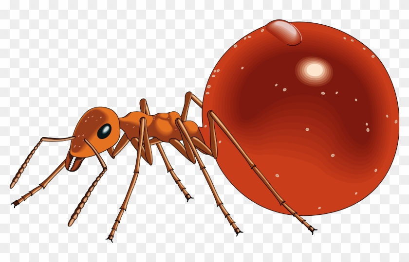 Pin Free Ant Clipart - Honey Ant Clipart #929786