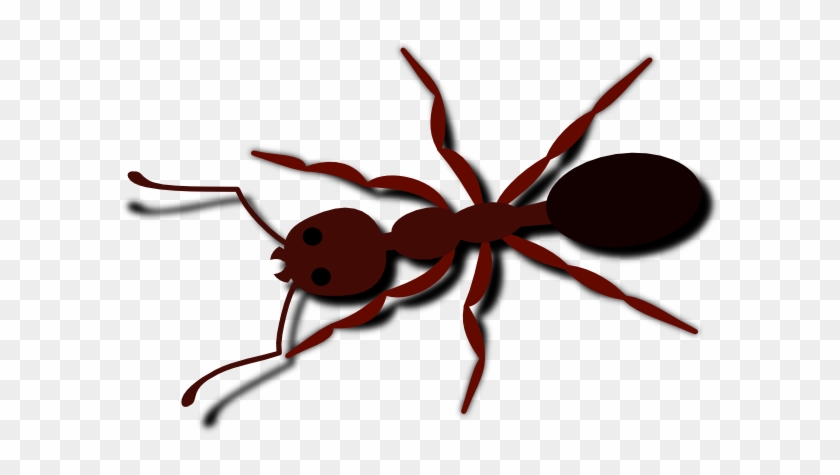 Ant, Bug, Insect, Brown, Animal - Ant Clip Art #929789
