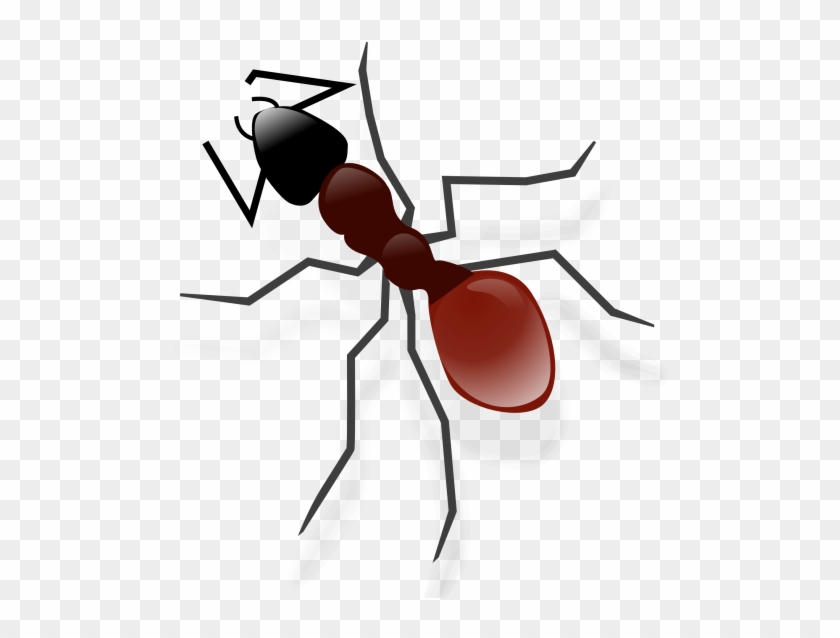 Ant Png Transparent Images - Carpenter Ant #929799