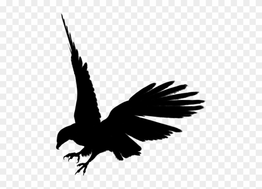 Bald Eagle Bird Clip Art - Eagle Silhouette Png #929932