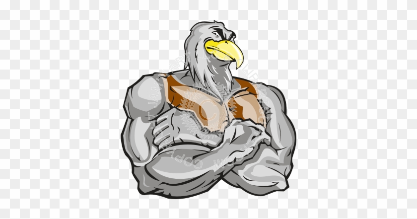 Eagle With Arms Crossed #929937
