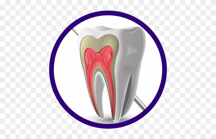 Dental Soft - Dental Software #930183