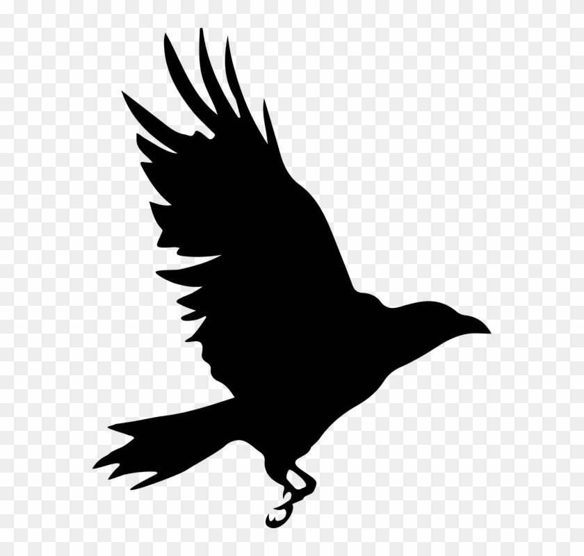 Raven Clipart Raptor Bird - Silueta De Cuervo Volando #930267