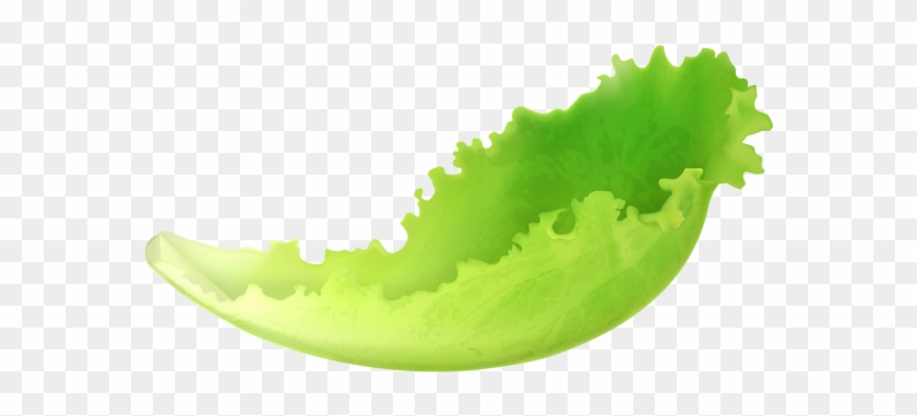 Leaf Lettuce Png Clipart - Lettuce Leaf Clipart #930281