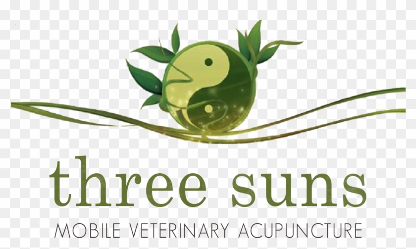 Three Suns Mobile Veterinary Acupuncture - Veterinary Acupuncture #930431