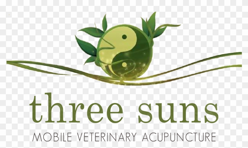 Three Suns Mobile Veterinary Acupuncture - Veterinary Acupuncture #930431