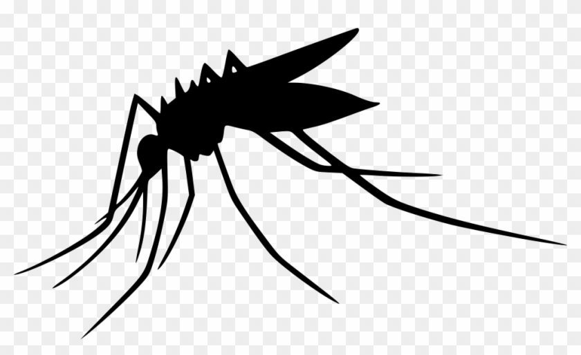Mosquito Transparent Png - Mosquito Png #930449