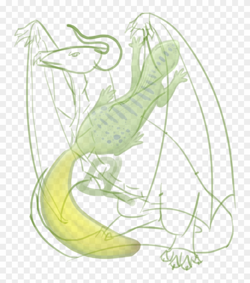 Wyvern Sketch By Bananalizard - Sketch #930466