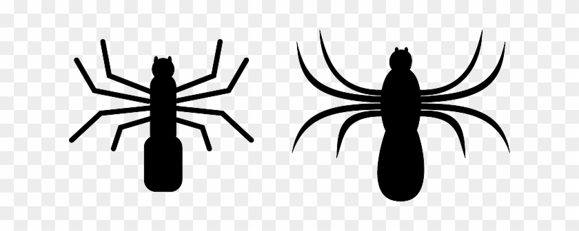 Creepy Spider, Insect, Crawl, Spooky, Arachnoid, Creepy - Spiders Clip Art #930496
