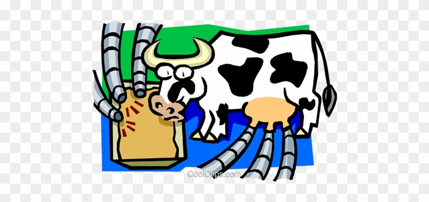 Funny Farmyard Cows Clip Art Images Are On A Transparent - Dairy Cows Being Milked #930622
