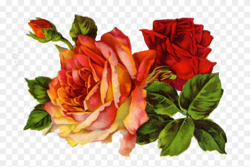 Декупаж Decoupage Roses On Pinterest - Red Roses Vintage Png #930671
