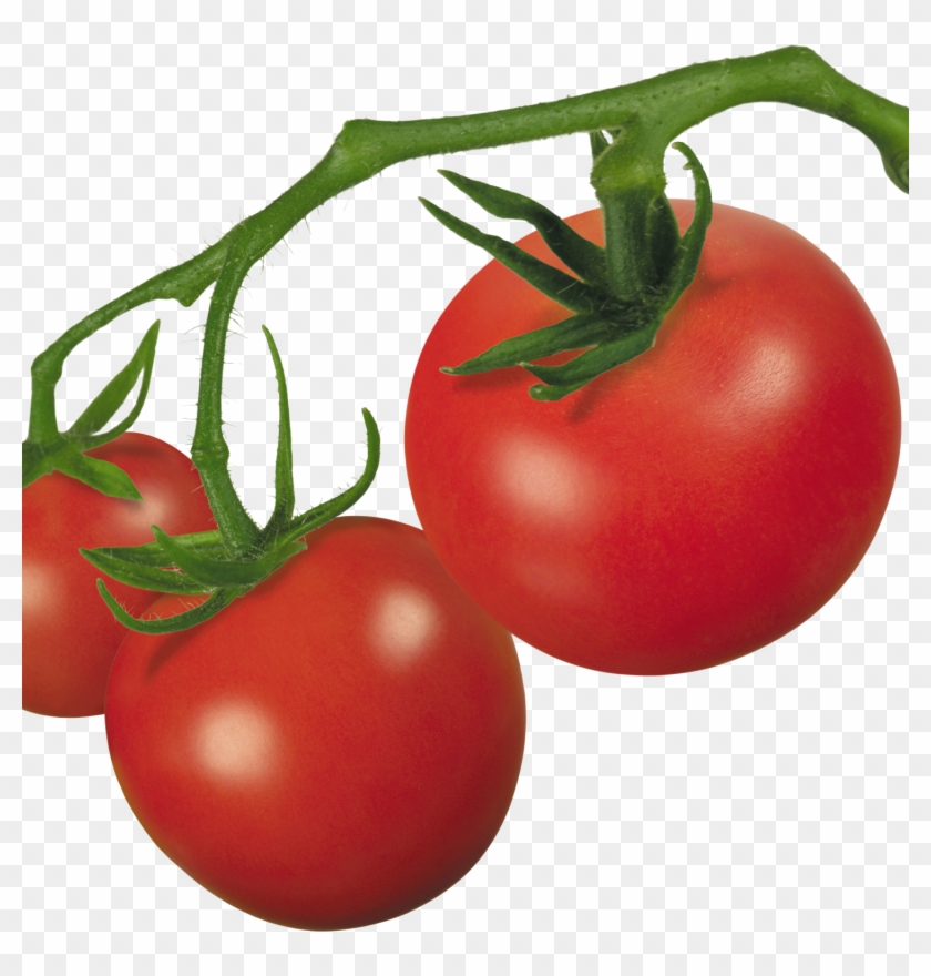 Pin Tomato Clip Art On Pinterest - Tomato Png Transparent Clipart #931462