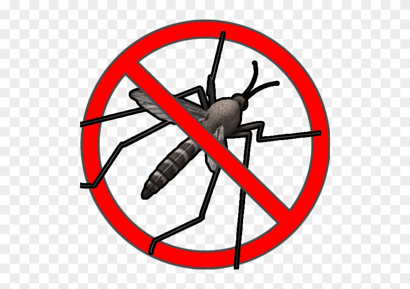 Anti Mosquito Png #932037