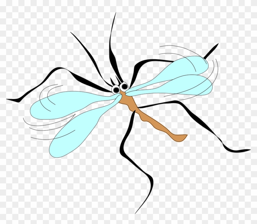 July 4th Weekend Weather Brings Sun, Mosquitoes - Mosquito Clip Art #932049