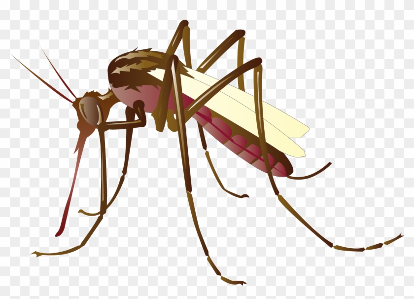 Mosquito Control Clip Art - Mosquito Clipart #932059