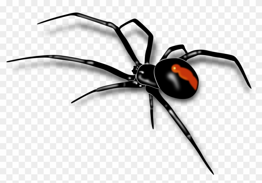 Mosquito Clipart Spider Insect - Australian Red Back Spider #932063