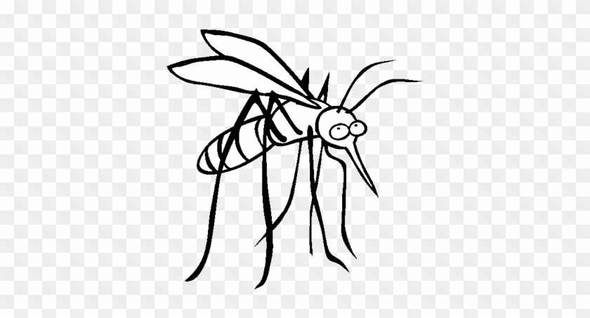 Aviral Resources - Coloring Picture Of Mosquito #932081