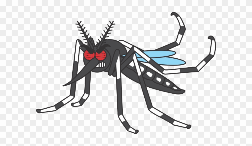 Mosquito Da Dengue Desenho Png - Mosquito Aedes Aegypti Desenho #932235