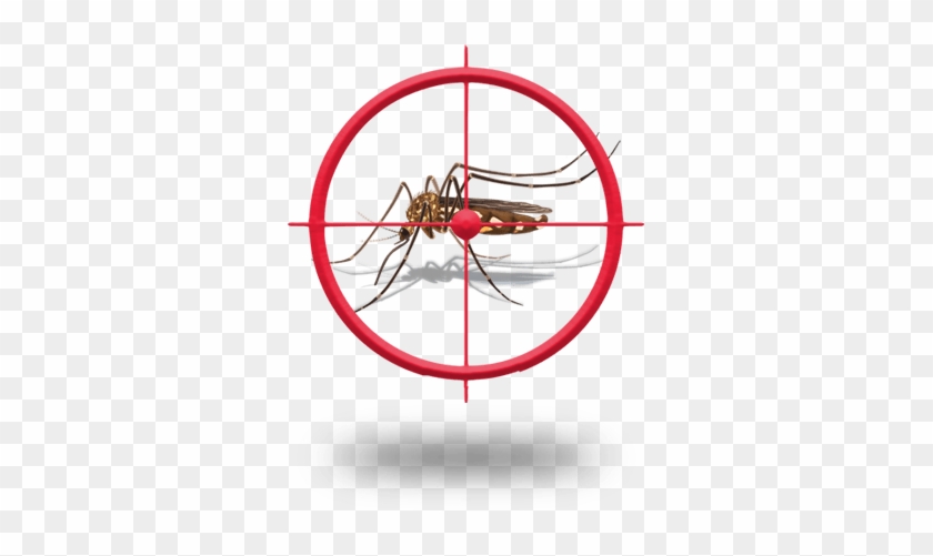 Stop The Mosquito - Crosshair Silhouette #932310