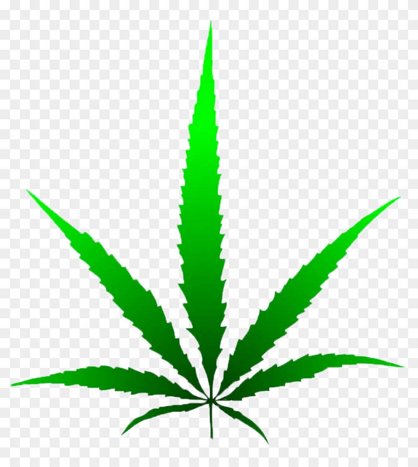 Bud Show - Marijuana Leaf Drawing #932364