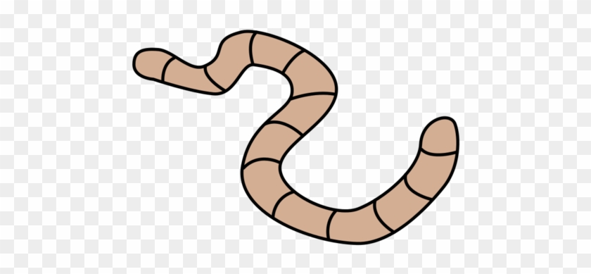Worm Clipart Long Straight - Worm Clipart #932365