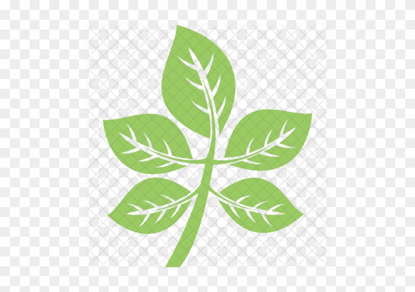 Compound Leaves Icon - Leaflet #932366
