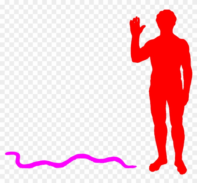 Caecilia Thompsoni A - Elephant Seal Size Compared To Humans #932373