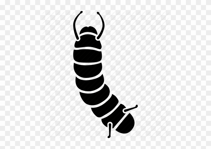 Clipart - Inchworm - Larvae Icon #932375