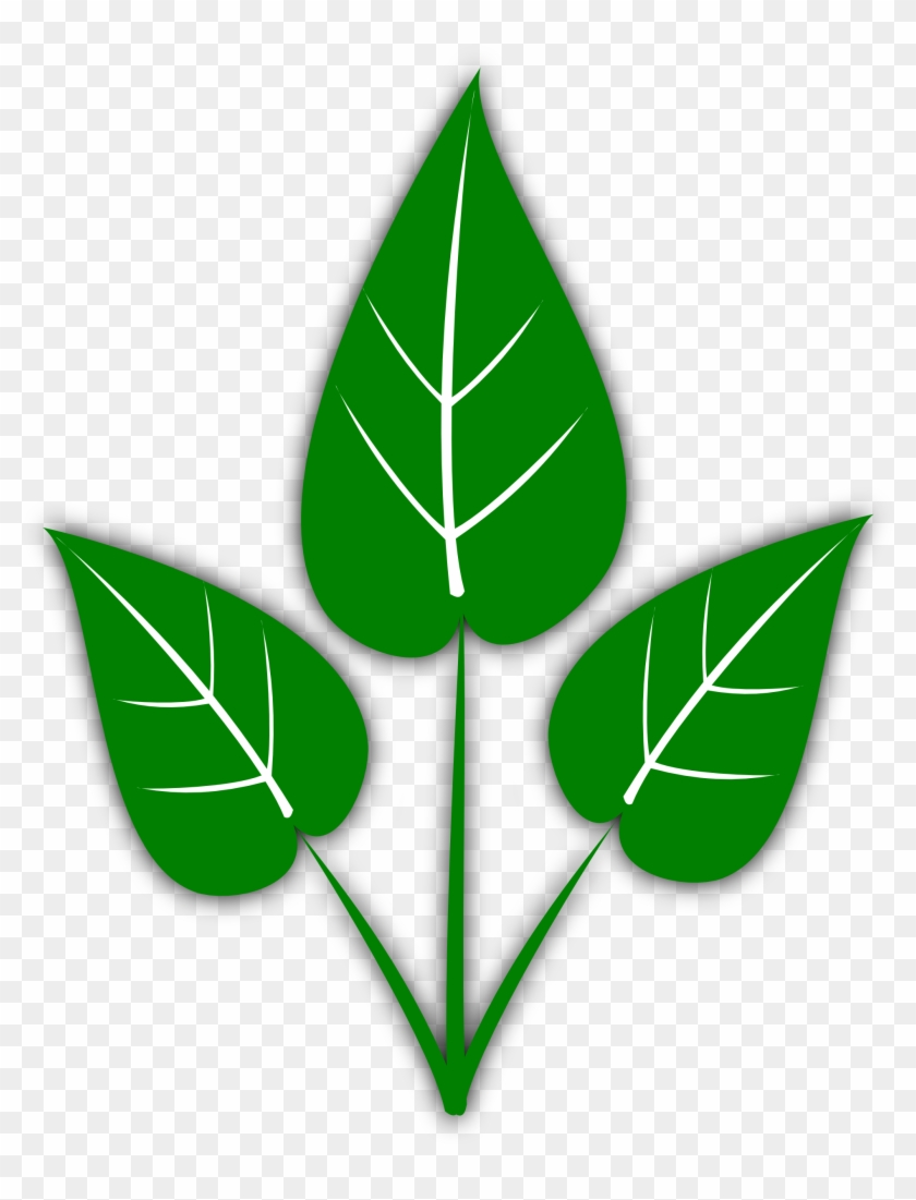 Leaf Line Drawing - Hydroponics Gardening: How To Start Hydroponics System, #932393