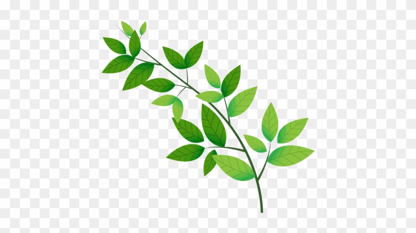 Vision - Storie Bestiali. Vite, Amori E Curiosità Dal Mondo - Free ...