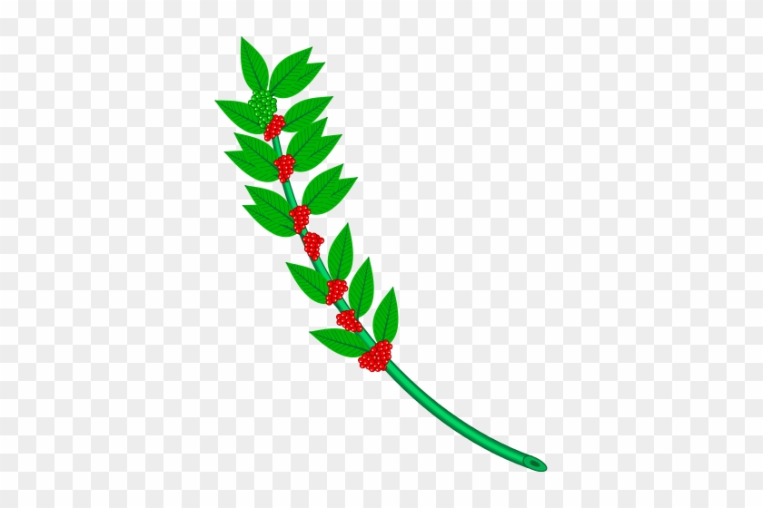 183 × 240 Pixels - Branches In Heraldry Svg #932448