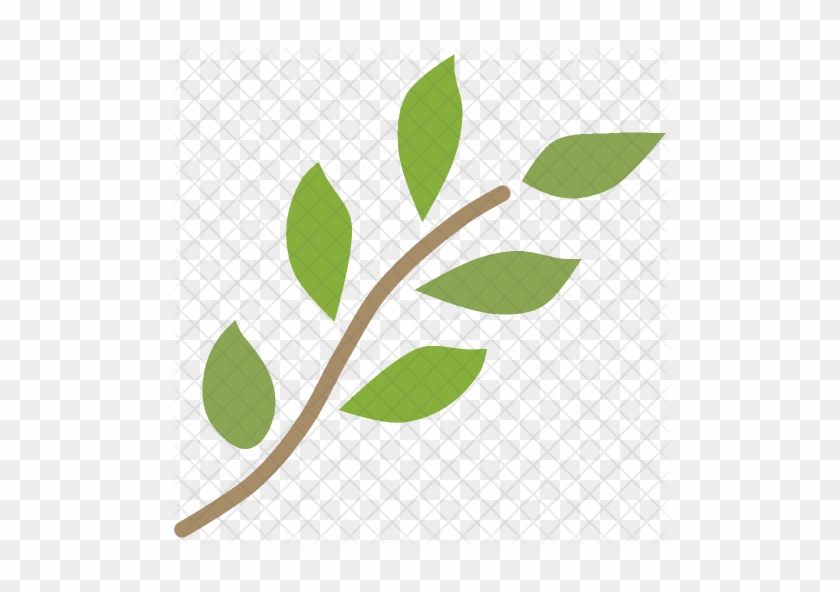 Branch Icon - Medicinal Plants #932483