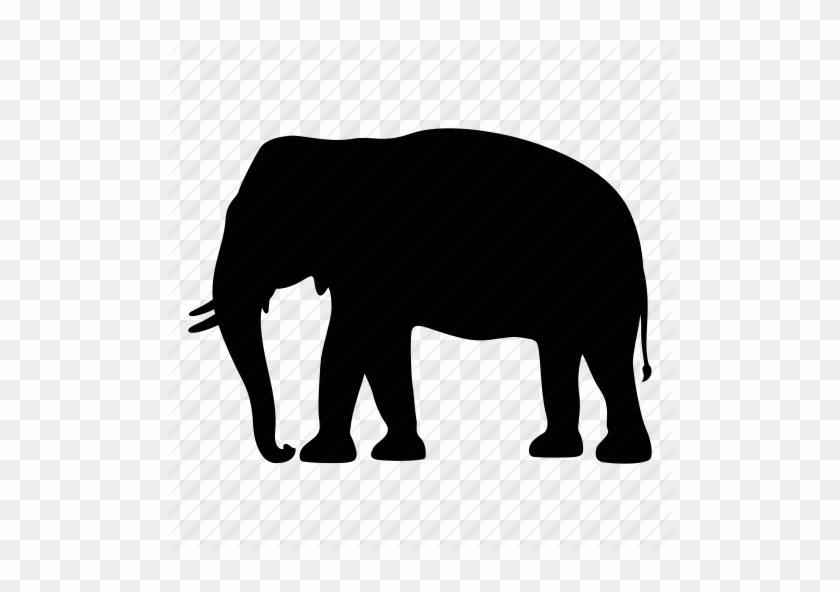 Africa, Animal, Elephant, India, Safari, Silhouette, - India Silhouette #932548