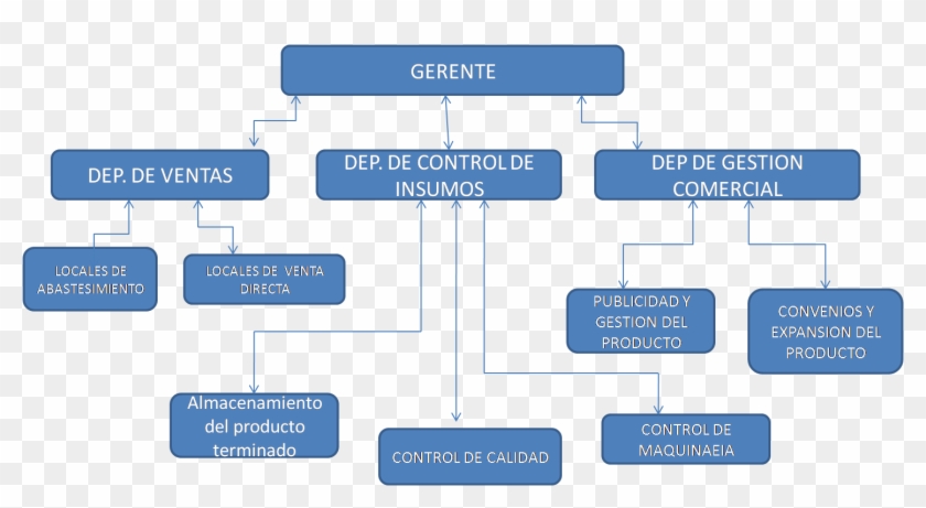 Lo Cual Ayudara A Que Estos Puedan Realizar Las Labores - Estructura De Una Empresa #932640