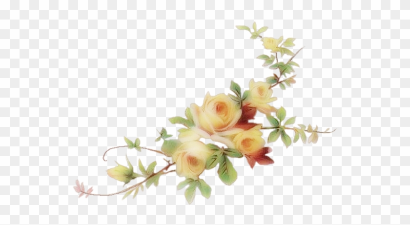 Yellow Roses Vine Png #932701