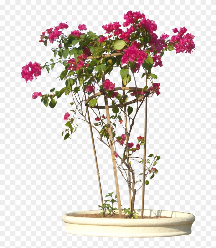 Transparent Flower Vines For Kids - Transparent Background Flower Pot Png #932737