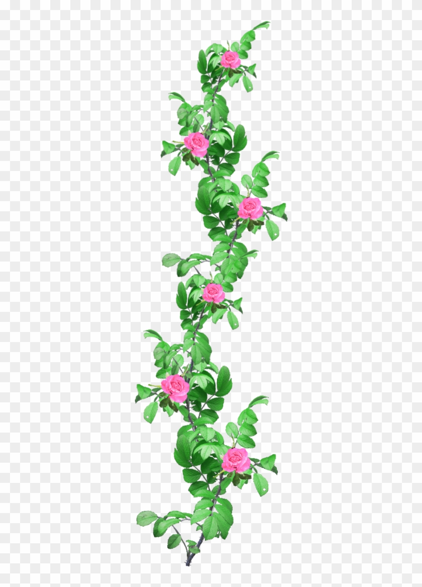 Pink Flower Vine Png Rose Garland 1 Png Stock By Amalus - Portable Network Graphics #932745