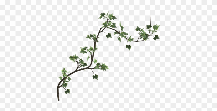 Transparent Flower Vines For Kids - Poison Ivy Vine Png #932797