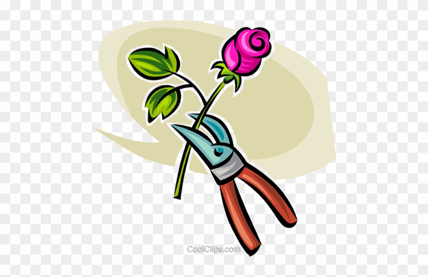 Gardening Shears And A Rose Royalty Free Vector Clip - Tesoura De Jardim Png #933066