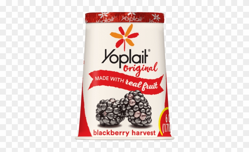 Blackberry Harves - Yoplait Original Yogurt, Orange Creme - 6 Oz Cup #933147