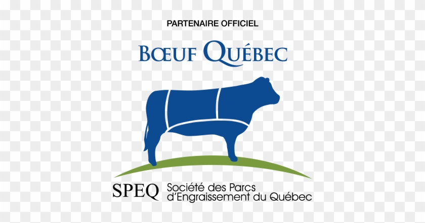 Logo Boeuf Qc Speq - Québec #933625